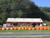 Pumpkins in the Fall