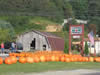 Fall produce at Clemmon's 