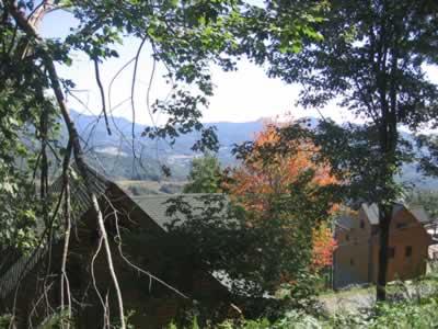 Beech Mountain Cabin