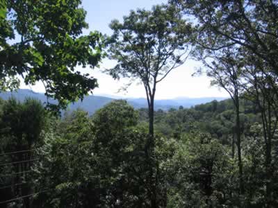 View: Jackalope Bed and Breakfast