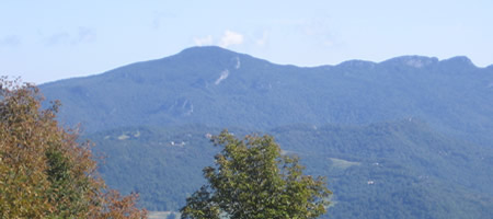 alt=