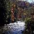 river in the fall
