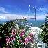 mile high swinging bridge