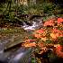 mountain stream in autumn