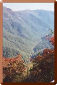 Linville Gorge, home of the Falls