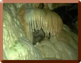 One of the wierd formations in Linville Caverns > 
  
<h2>&nbsp;</h2>
<h3><font color=
