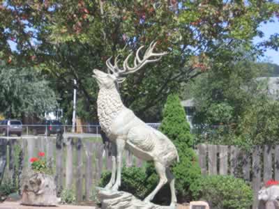 The Elk warns the bear to be cool coming into town 